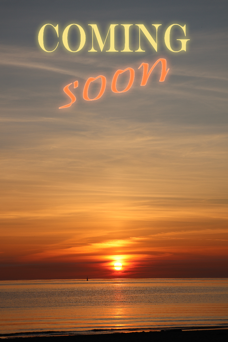 Collectors Harbor is getting ready